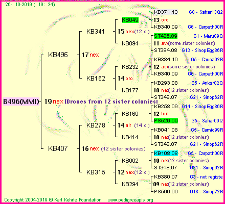 Pedigree of B496(MMI) :
four generations presented<br />it's temporarily unavailable, sorry!