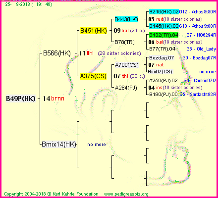 Pedigree of B49P(HK) :
four generations presented<br />it's temporarily unavailable, sorry!