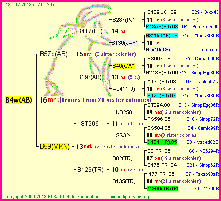 Pedigree of B4w(AB) :
four generations presented<br />it's temporarily unavailable, sorry!