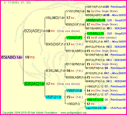 Pedigree of B5(ADE)1dr :
four generations presented
it's temporarily unavailable, sorry!