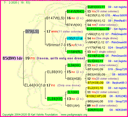 Pedigree of B5(BW)1dr :
four generations presented<br />it's temporarily unavailable, sorry!