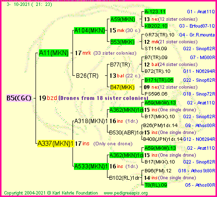 Pedigree of B5(CGC) :
four generations presented
it's temporarily unavailable, sorry!