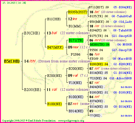 Pedigree of B5(CHB) :
four generations presented