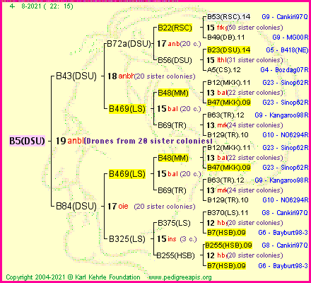 Pedigree of B5(DSU) :
four generations presented
it's temporarily unavailable, sorry!