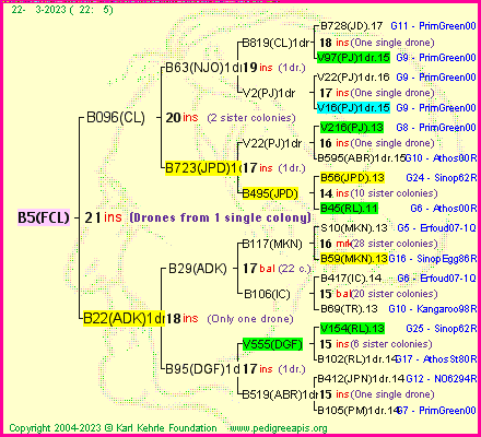 Pedigree of B5(FCL) :
four generations presented
it's temporarily unavailable, sorry!