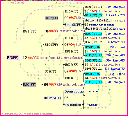 Pedigree of B5(FF) :
four generations presented