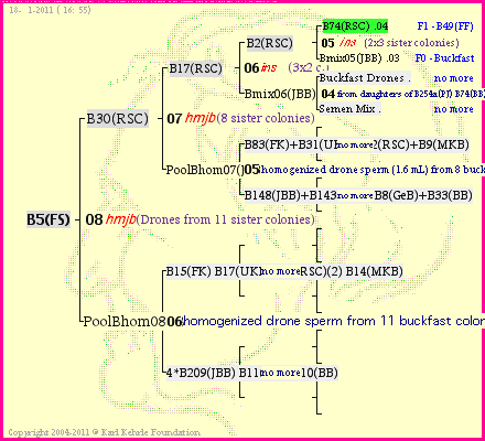 Pedigree of B5(FS) :
four generations presented