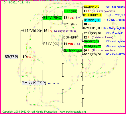 Pedigree of B5(FSP) :
four generations presented
it's temporarily unavailable, sorry!