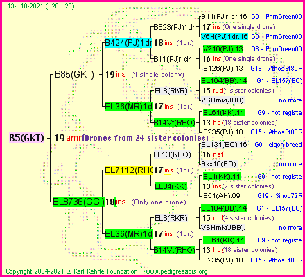 Pedigree of B5(GKT) :
four generations presented
it's temporarily unavailable, sorry!