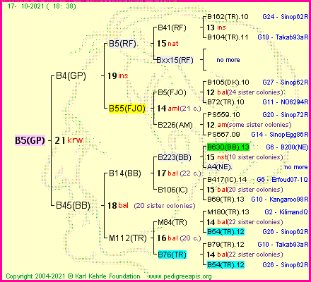 Pedigree of B5(GP) :
four generations presented
it's temporarily unavailable, sorry!