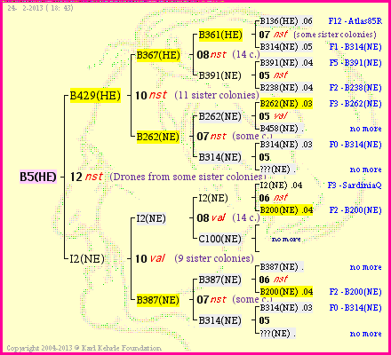 Pedigree of B5(HE) :
four generations presented