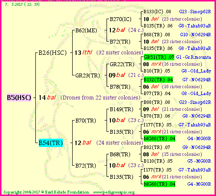 Pedigree of B5(HSC) :
four generations presented