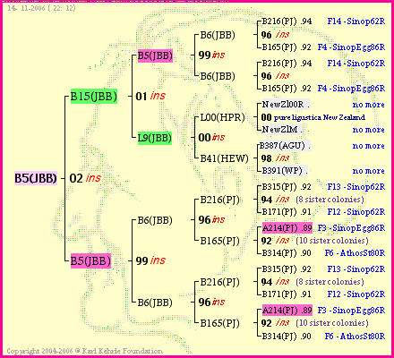 Pedigree of B5(JBB) :
four generations presented