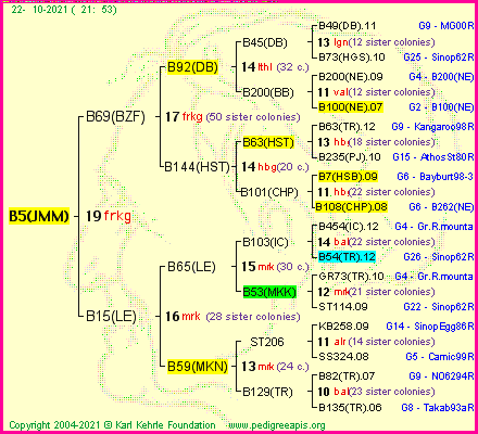 Pedigree of B5(JMM) :
four generations presented
it's temporarily unavailable, sorry!