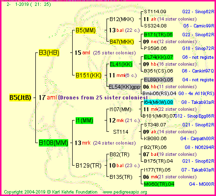 Pedigree of B5(JtB) :
four generations presented<br />it's temporarily unavailable, sorry!