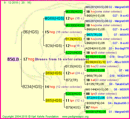 Pedigree of B5(LJ) :
four generations presented<br />it's temporarily unavailable, sorry!