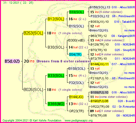 Pedigree of B5(LOZ) :
four generations presented
it's temporarily unavailable, sorry!