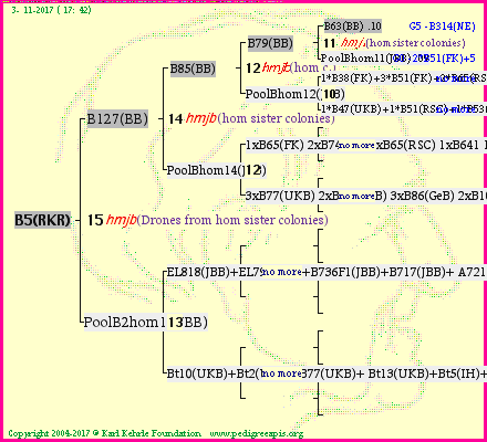 Pedigree of B5(RKR) :
four generations presented<br />it's temporarily unavailable, sorry!