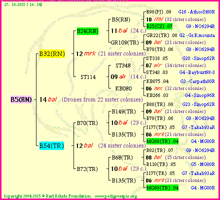 Pedigree of B5(RN) :
four generations presented