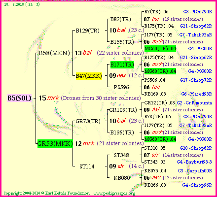 Pedigree of B5(SOL) :
four generations presented
it's temporarily unavailable, sorry!