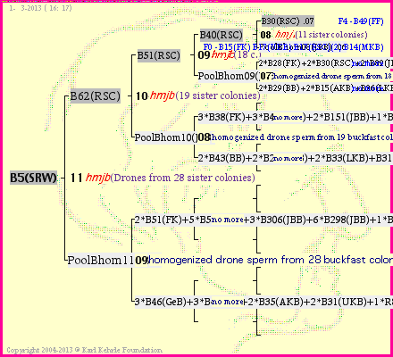 Pedigree of B5(SRW) :
four generations presented