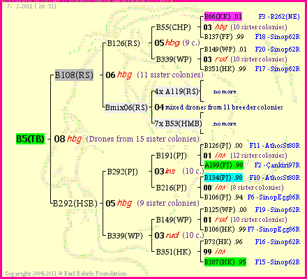 Pedigree of B5(TB) :
four generations presented