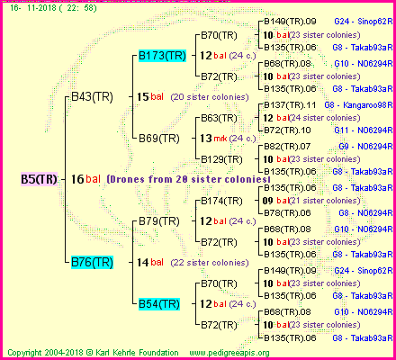 Pedigree of B5(TR) :
four generations presented<br />it's temporarily unavailable, sorry!