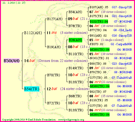 Pedigree of B50(AH) :
four generations presented
it's temporarily unavailable, sorry!