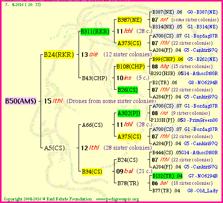 Pedigree of B50(AMS) :
four generations presented