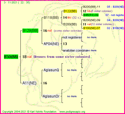 Pedigree of B50(BB) :
four generations presented
it's temporarily unavailable, sorry!