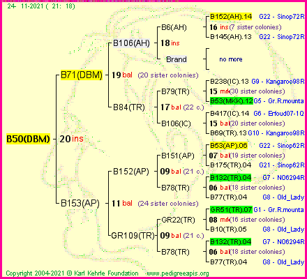 Pedigree of B50(DBM) :
four generations presented
it's temporarily unavailable, sorry!