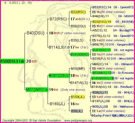 Pedigree of B50(DSU)1dr :
four generations presented
it's temporarily unavailable, sorry!