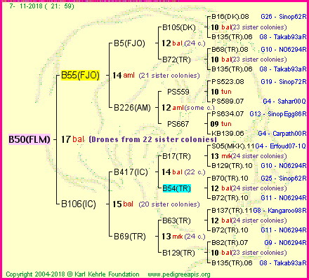 Pedigree of B50(FLM) :
four generations presented<br />it's temporarily unavailable, sorry!