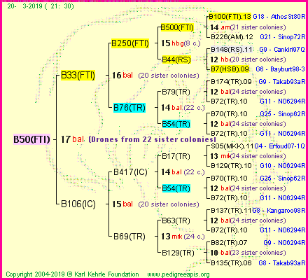 Pedigree of B50(FTI) :
four generations presented<br />it's temporarily unavailable, sorry!