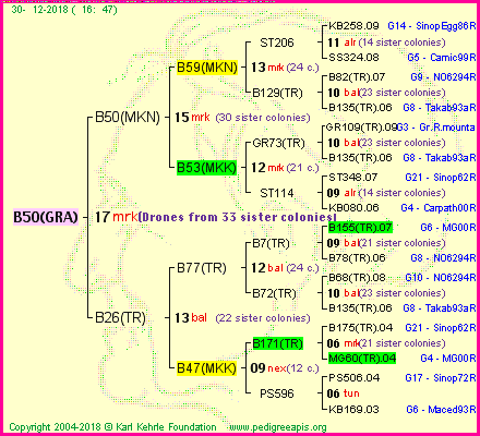 Pedigree of B50(GRA) :
four generations presented<br />it's temporarily unavailable, sorry!