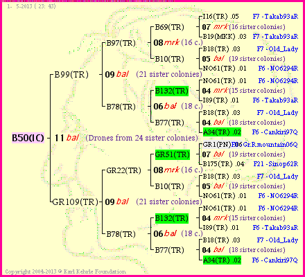 Pedigree of B50(IC) :
four generations presented