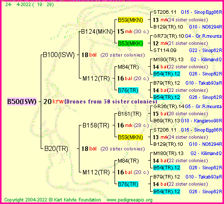 Pedigree of B50(ISW) :
four generations presented
it's temporarily unavailable, sorry!