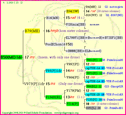 Pedigree of B50(ME)1dr :
four generations presented<br />it's temporarily unavailable, sorry!