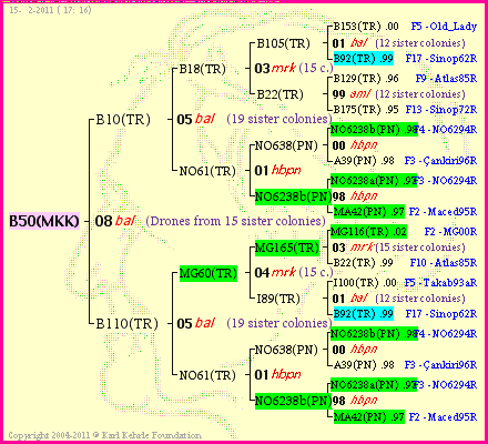 Pedigree of B50(MKK) :
four generations presented