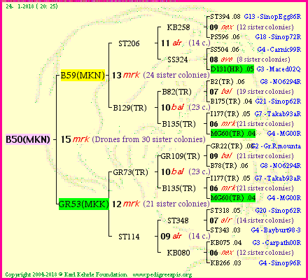 Pedigree of B50(MKN) :
four generations presented
it's temporarily unavailable, sorry!