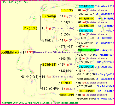 Pedigree of B50(MMM) :
four generations presented<br />it's temporarily unavailable, sorry!