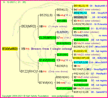 Pedigree of B50(MRD) :
four generations presented
it's temporarily unavailable, sorry!