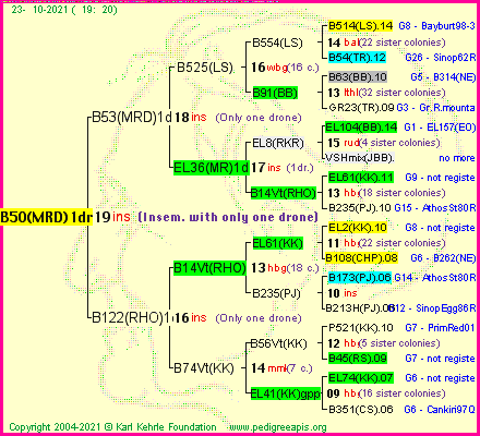 Pedigree of B50(MRD)1dr :
four generations presented
it's temporarily unavailable, sorry!