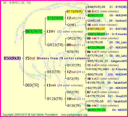 Pedigree of B50(RKR) :
four generations presented<br />it's temporarily unavailable, sorry!