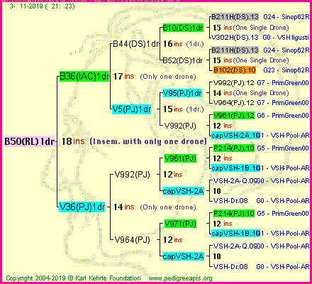 Pedigree of B50(RL)1dr :
four generations presented
it's temporarily unavailable, sorry!