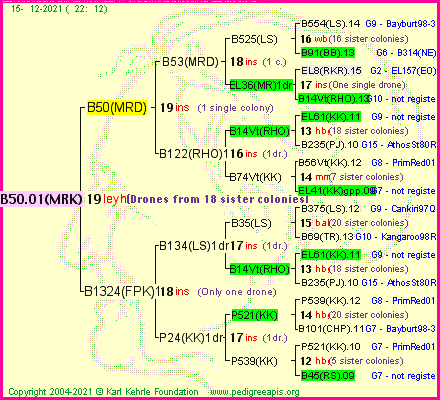 Pedigree of B50.01(MRK) :
four generations presented
it's temporarily unavailable, sorry!