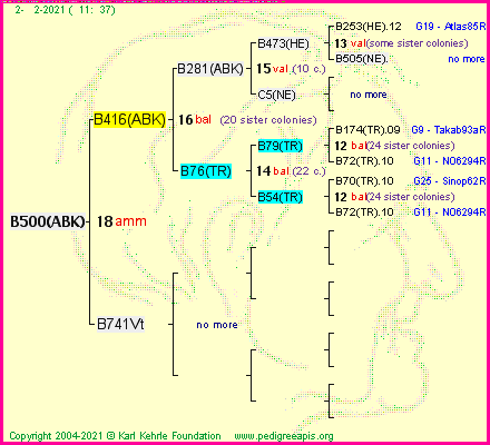Pedigree of B500(ABK) :
four generations presented
it's temporarily unavailable, sorry!
