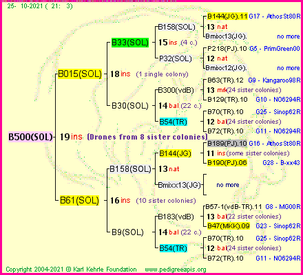 Pedigree of B500(SOL) :
four generations presented
it's temporarily unavailable, sorry!