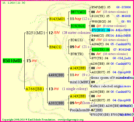 Pedigree of B501(MD) :
four generations presented<br />it's temporarily unavailable, sorry!