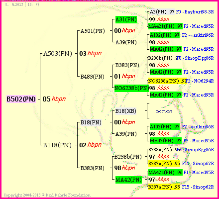 Pedigree of B502(PN) :
four generations presented